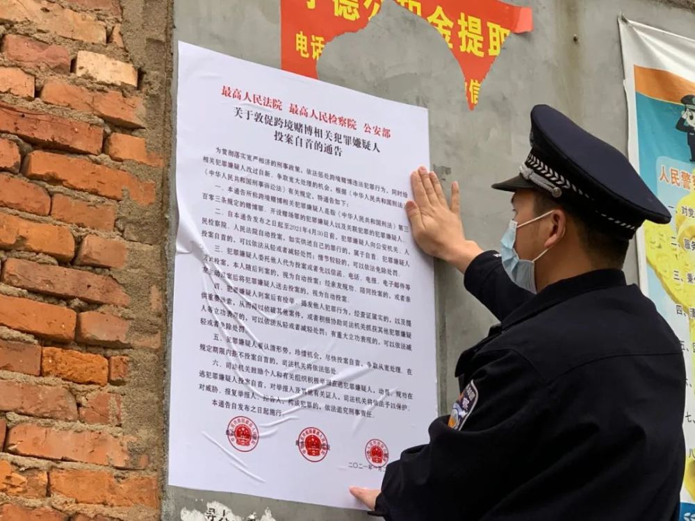 特朗普和輝瑞的關(guān)系,新技術(shù)推動方略_WIS51.802活現(xiàn)版