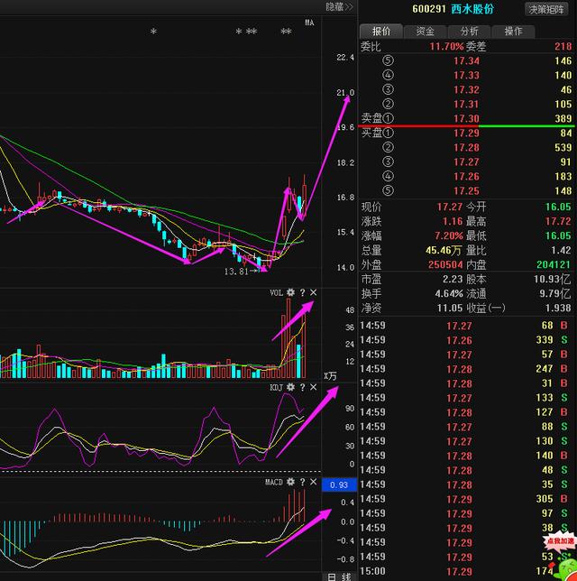 西水股份動(dòng)態(tài)更新，變革中的學(xué)習(xí)之路，自信與成就感的培育之源