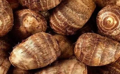 芋頭最新價格行情走勢及分析