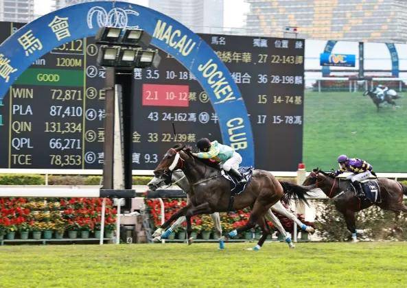 ww777766香港馬會總綱詩：解讀香港賽馬文化的精髓