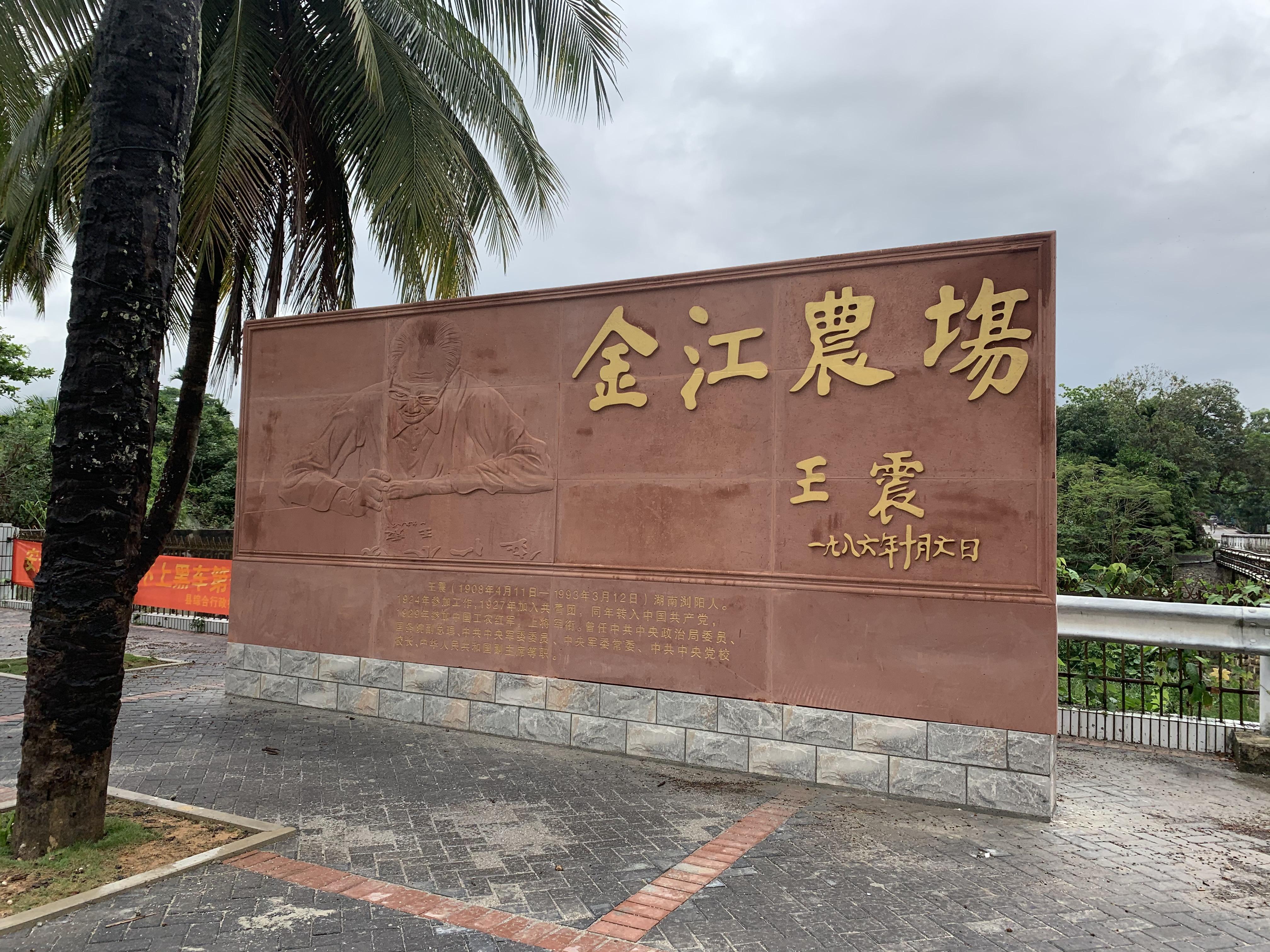 海南橡膠價格最新消息,海南橡膠價格最新消息