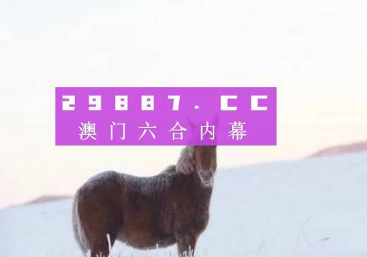 澳門一肖一碼一子一特一中：從新手到專家的全面進階指南