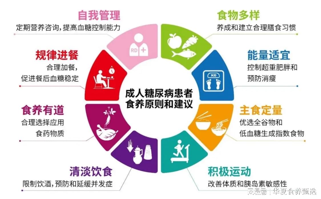 2024精準(zhǔn)免費(fèi)健康資源大全：健康管理與知識指南