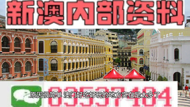 澳門免費(fèi)公開資料最準(zhǔn)的資料,重要性解釋落實(shí)方法_Premium89.743