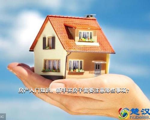 房地產(chǎn)最新動(dòng)態(tài)及購(gòu)房指南與技能學(xué)習(xí)全攻略