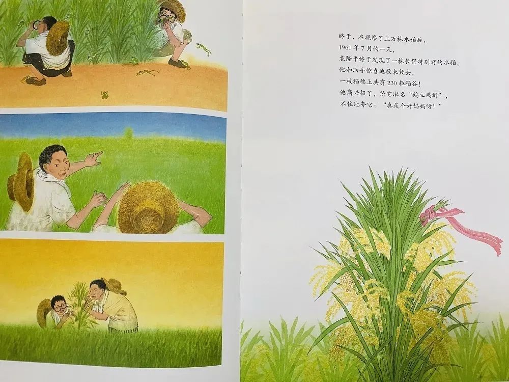 全球視野下的移民最新政策與趨勢變化分析