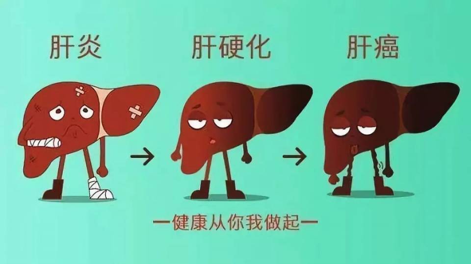 乙肝最新,乙肝最新，一場心靈與自然的奇妙之旅，探尋生命靜謐的力量