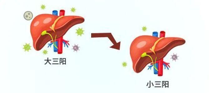 乙肝最新進(jìn)展揭秘，小明的健康之旅與溫馨故事
