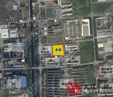 大江東最新動態(tài)解析，全面解讀與觀點闡述