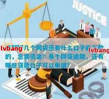 最新網(wǎng)貸口子解析與論述