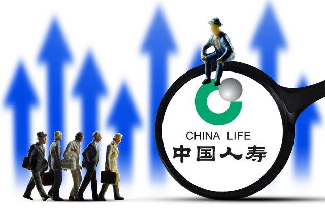 中國人壽最新動態(tài)，自然美景之旅，探尋內(nèi)心平和與寧靜的旅程