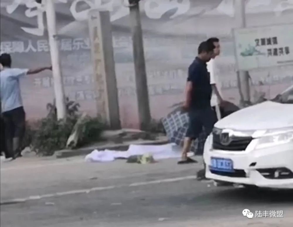 陸豐車禍最新消息與巷弄深處的驚喜——探訪陸豐特色小店