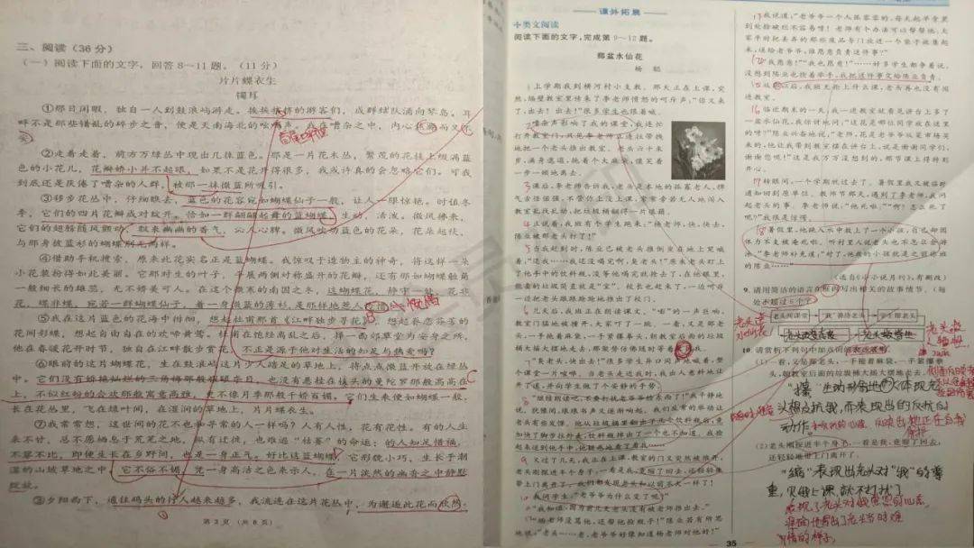 探索小巷寶藏，語(yǔ)文作文最新素材之特色小店