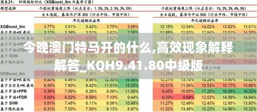 今晚開什特馬 是什么意思,持續(xù)改進策略_XHB85.768奢華版