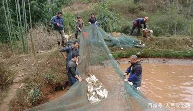 晉城張少波，自然美景中的內(nèi)心平和之旅最新消息
