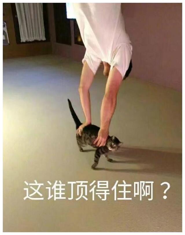深度解讀就是怎有味最新一集，背景、事件與影響全解析
