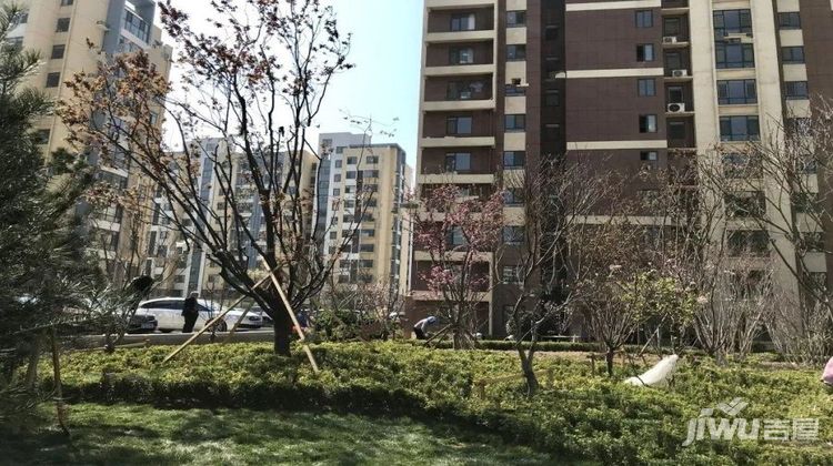 煙臺瑜景華城最新動態(tài)揭秘，巷弄深處的獨特小店探秘