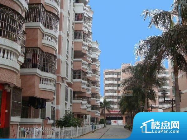 坦洲碧濤花園二手房市場深度洞察，最新房源及市場動態(tài)