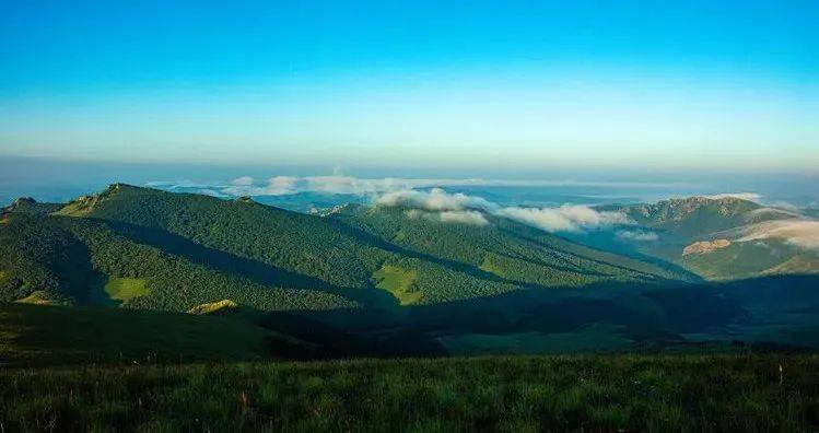 赤峰市林業(yè)局綠色之旅，探索自然美景，尋求內(nèi)心平靜的最新動態(tài)