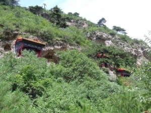 龍泉森林公園最新動態(tài)更新