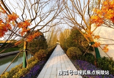 泗州楓景最新房?jī)r(jià)，與自然美景的邂逅，內(nèi)心寧?kù)o之旅啟程