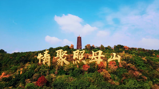 重慶照母山最新動態(tài)更新