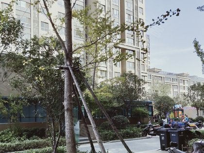 鄭西理想城最新動態(tài)，小巷隱藏寶藏，特色小店獨特魅力揭秘
