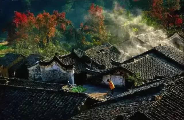 連州市龍坪鎮(zhèn)最新動態(tài)概覽