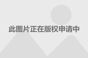 上海之魚最新動態(tài)更新