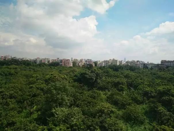 蔣家浜舊改最新動(dòng)態(tài)，探索自然美景的旅程