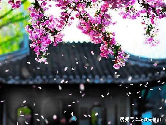 警惕非法網(wǎng)站，探索自然美景的正確途徑