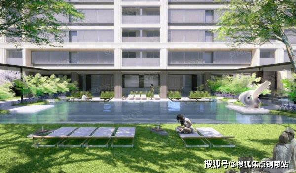 沛縣貼吧最新消息，時代脈搏與地方脈動同步更新