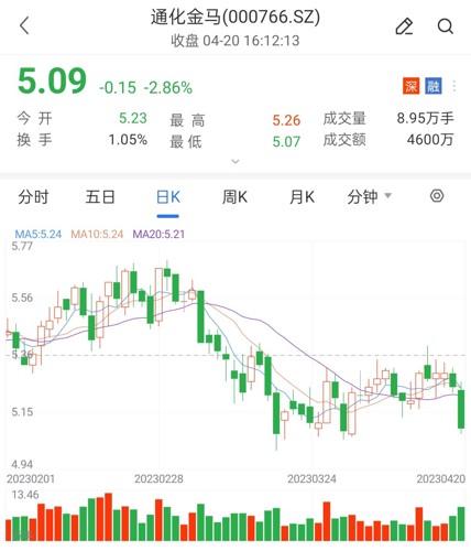通化金馬最新公告，友情與陪伴的溫馨故事揭曉