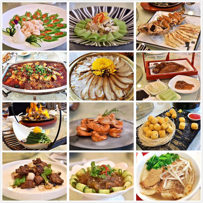 爽食行天下最新，美食之旅的無限探索與體驗