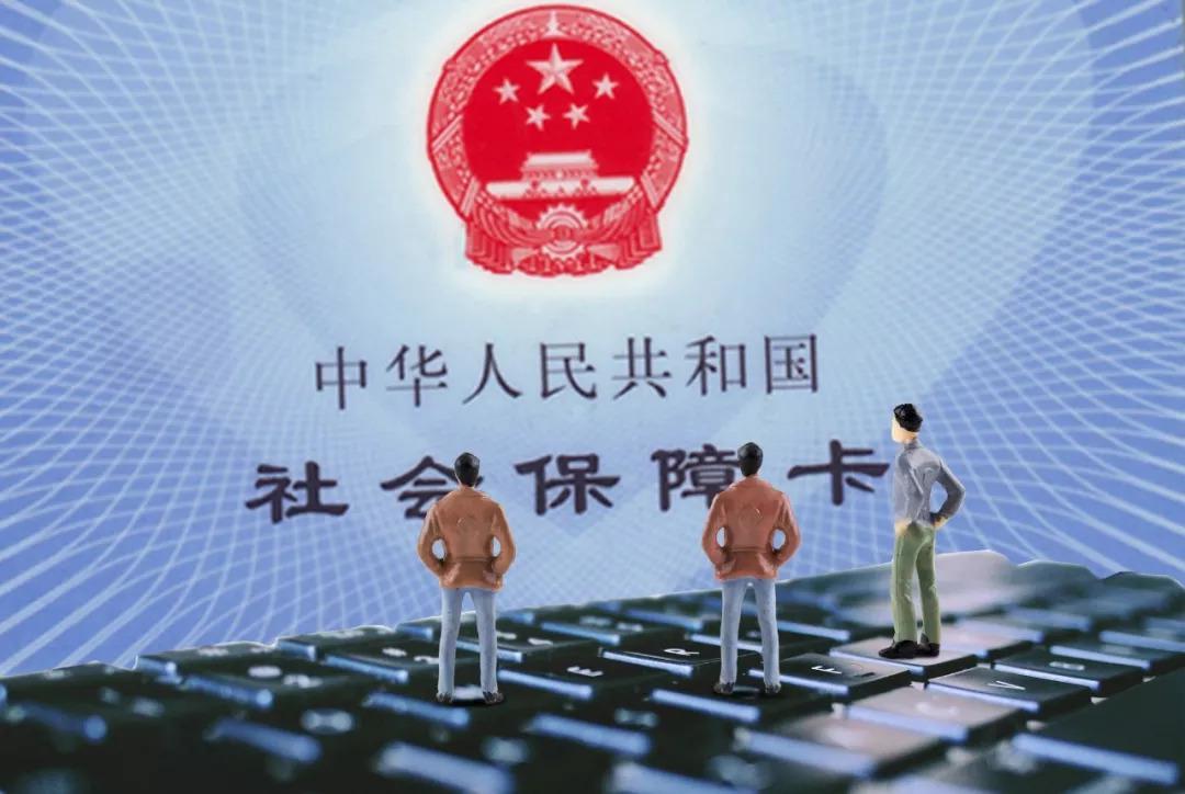 檔案年齡認(rèn)定最新規(guī)定，心靈與自然的奇妙之旅