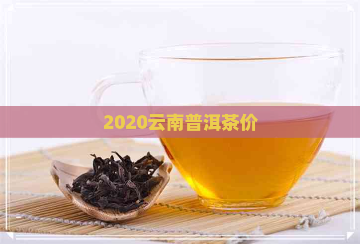 普洱茶行情最新詳解，最新動態(tài)與市場趨勢分析