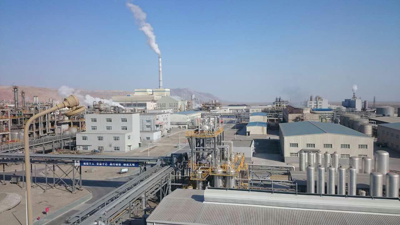 中泰化學(xué)最新消息股吧，全面解讀與詳細(xì)步驟指南