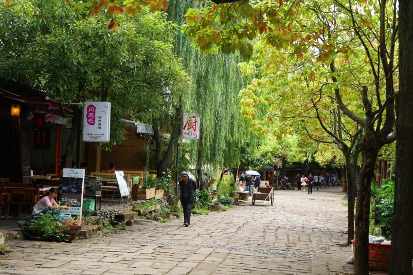 供應(yīng)鏈上市公司中的隱藏瑰寶，特色小店探秘之旅