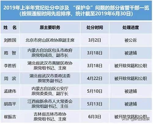 全國(guó)最大網(wǎng)站最新探析與動(dòng)態(tài)概覽