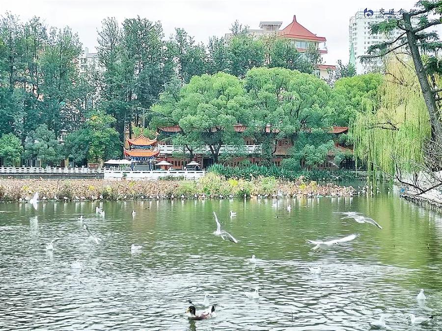 美國(guó)最新上市新規(guī)，自然美景探索之旅啟程