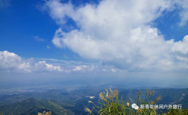 黃大仙馬報(bào)最新，自然美景的探索之旅啟程