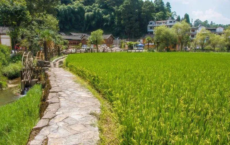 郫縣疫情最新情況及自然美景探索之旅，重拾內(nèi)心平靜