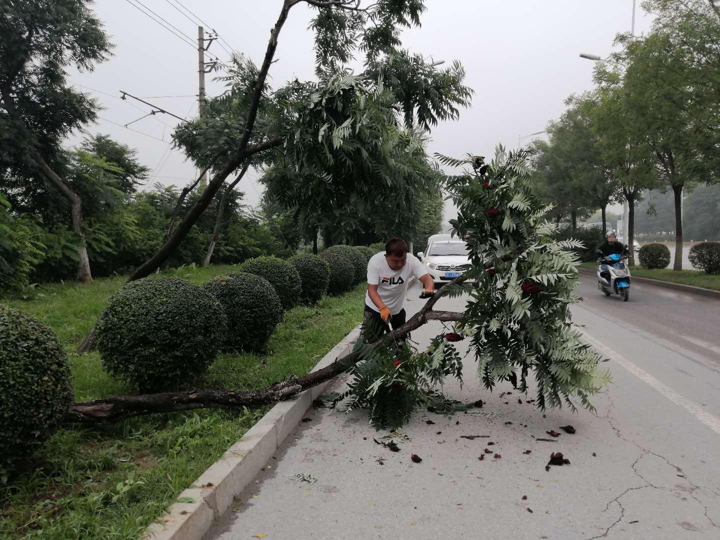 冰雹突襲下的溫馨家庭故事，最新冰雹視頻記錄瞬間時刻