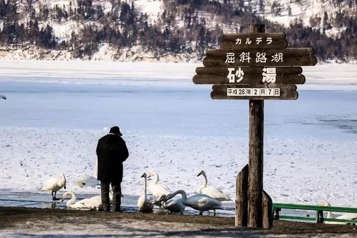 最新疫情戰(zhàn)時(shí)下的自然美景探索之旅