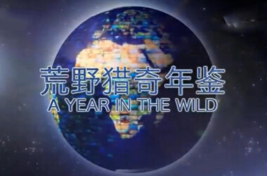 探索自然美景之旅，最新節(jié)目啟程，尋找內(nèi)心的平靜與喜悅