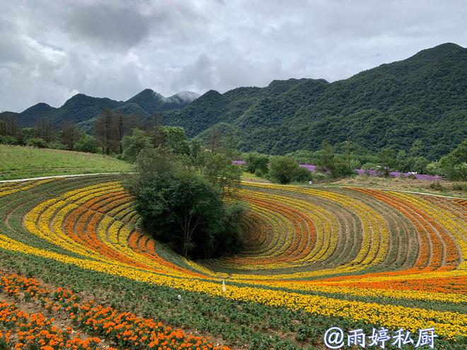 中科昊泰最新動態(tài)，探索自然美景之旅，尋求內(nèi)心平和寧靜的旅程