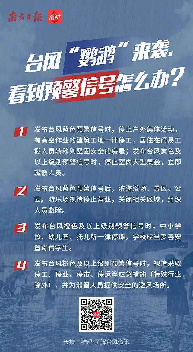 廣東鸚鵡臺(tái)風(fēng)最新動(dòng)態(tài)，科技智能預(yù)警守護(hù)生活前沿動(dòng)態(tài)觀察