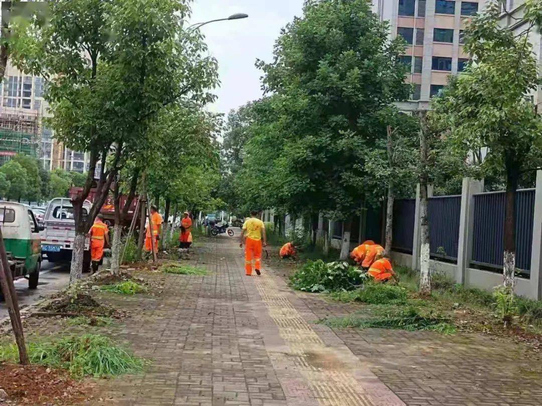 涿州市花田路最新資訊，探索花田路上的溫馨日常