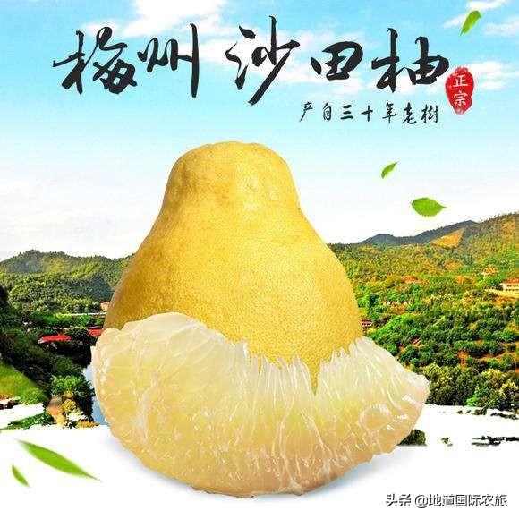 梅州最新公交路線指南，探索自然美景的便捷之旅