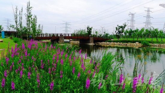 無錫錫東新城最新動(dòng)態(tài)，自然美景探索之旅，尋找內(nèi)心平和與寧靜的旅程